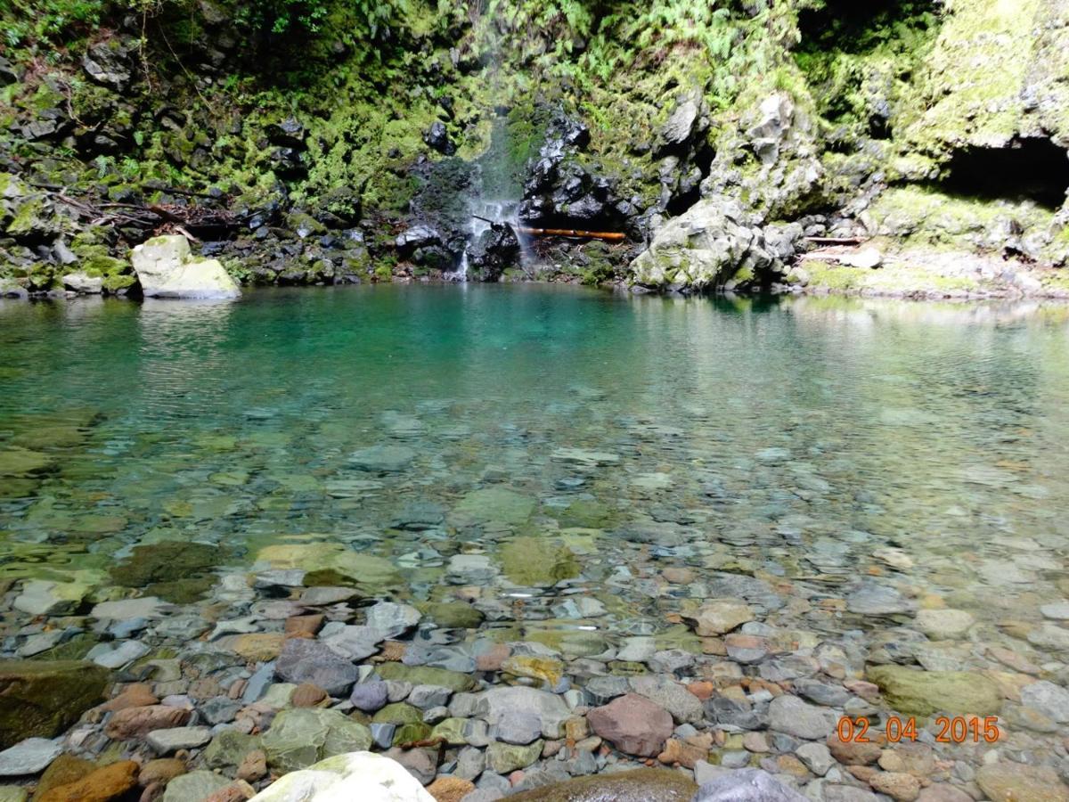Stay In Madeira 푼샬 외부 사진