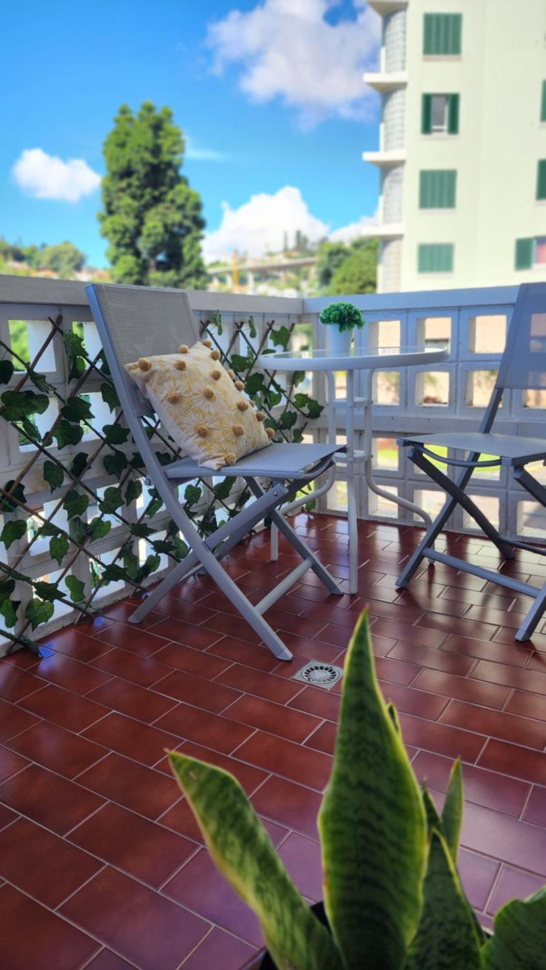 Stay In Madeira 푼샬 외부 사진