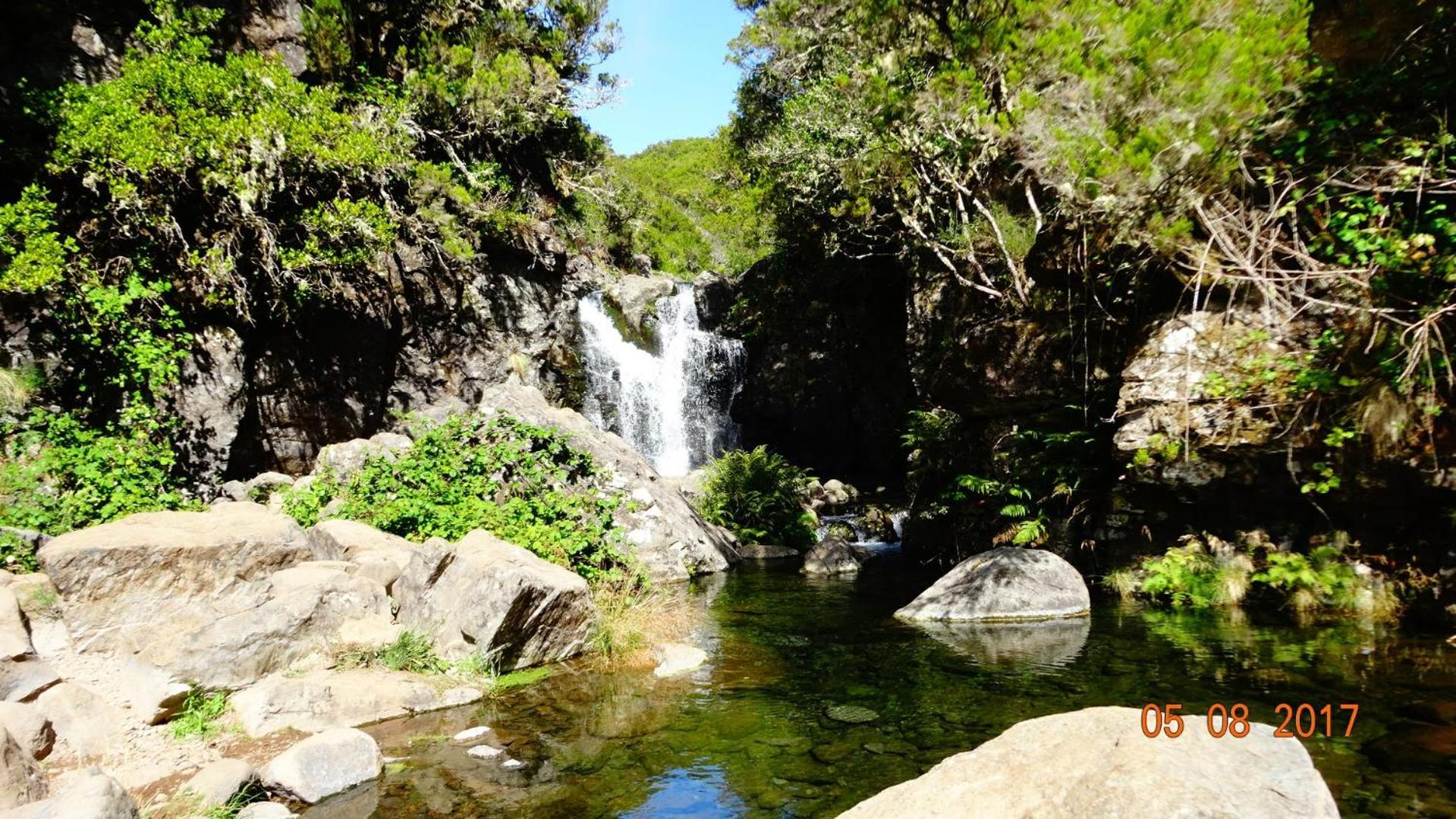 Stay In Madeira 푼샬 객실 사진